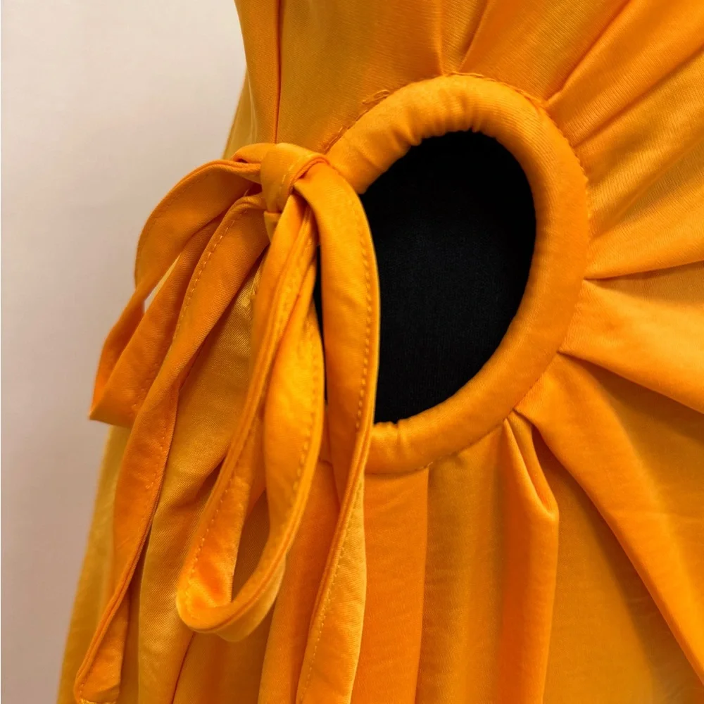 House of Harlow 1960 Vibrant Orange Maxi Dress - Picture 3 of 6